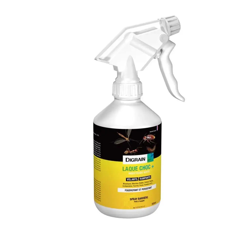 Bouclioff Laque Choc Anti Cafards & Punaises - Insectoff Professionnel